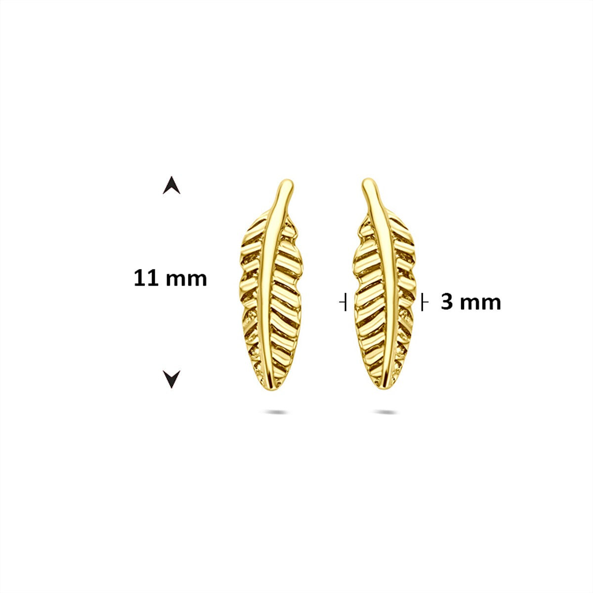 9K Gelbgold Ohrstecker in Federform