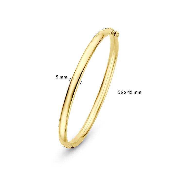 14k Geelgouden Silgold Bangle 5 mm Dames
