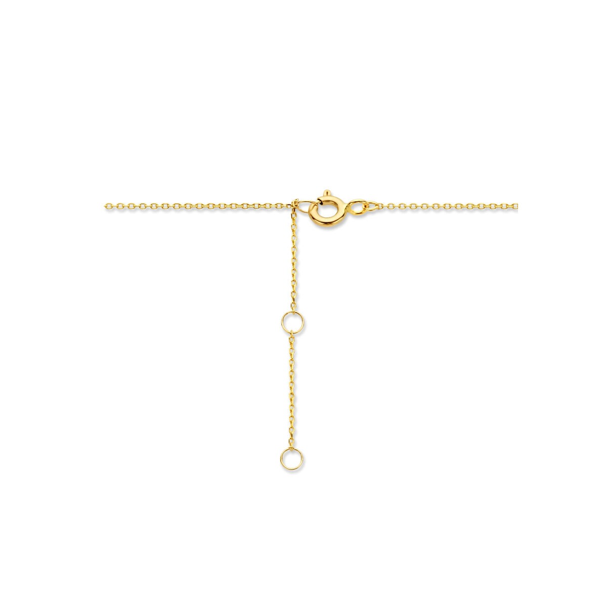 Goldkette mit Feder – 9 Karat Gelbgold-farben