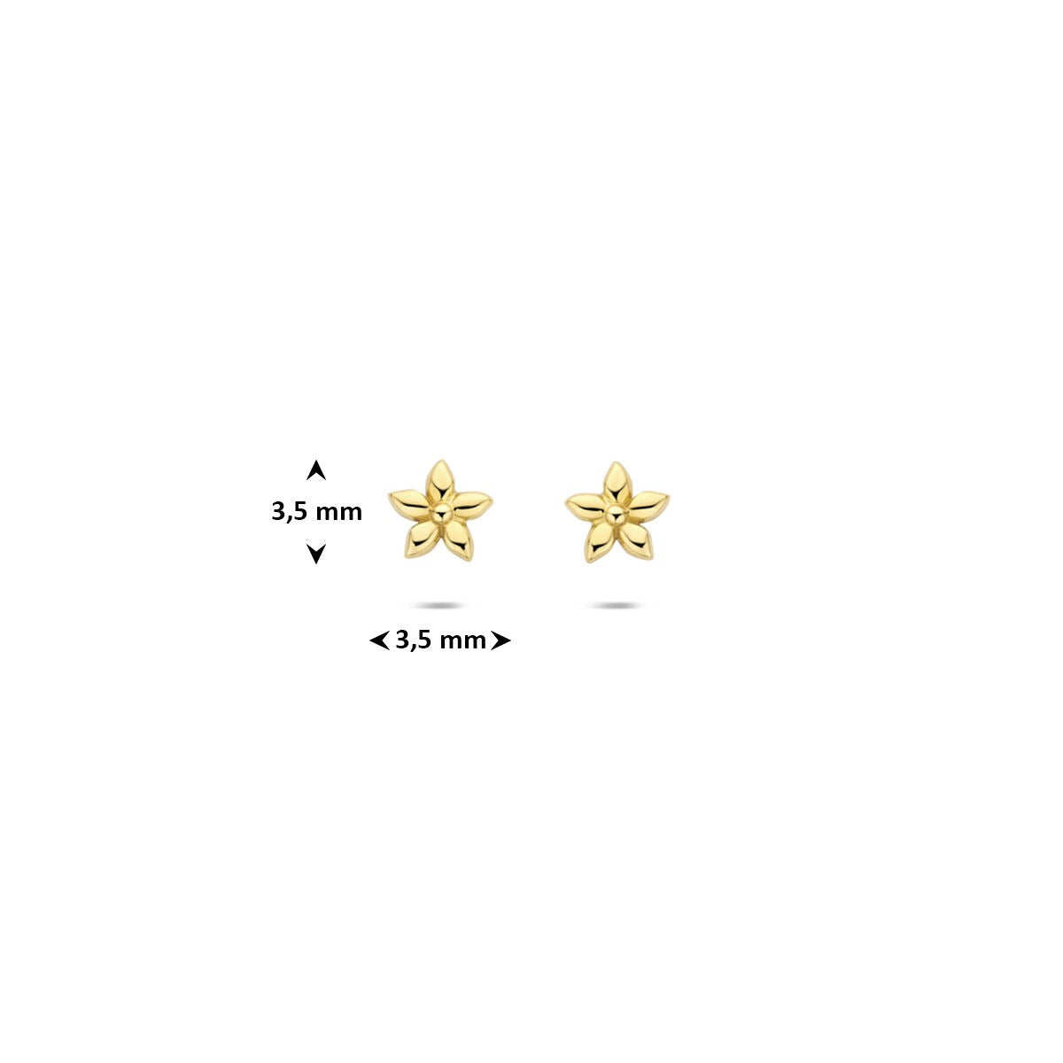 14k Gelbgold Ohrstecker Blüte