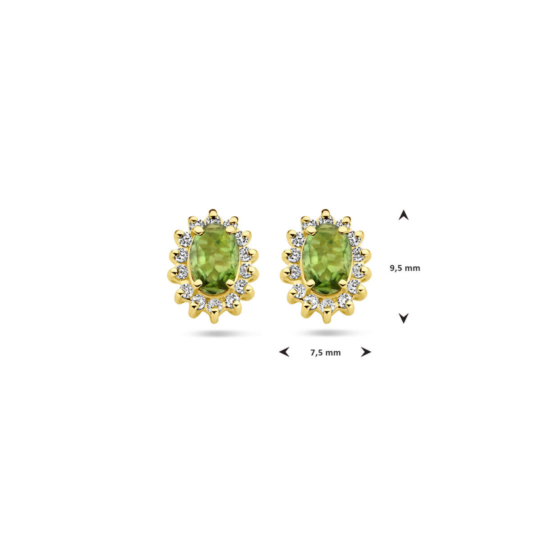 Ohrstecker Turmalin und Diamant 0,22 ct (2x 0,11 ct) h si 14K Gelbgold