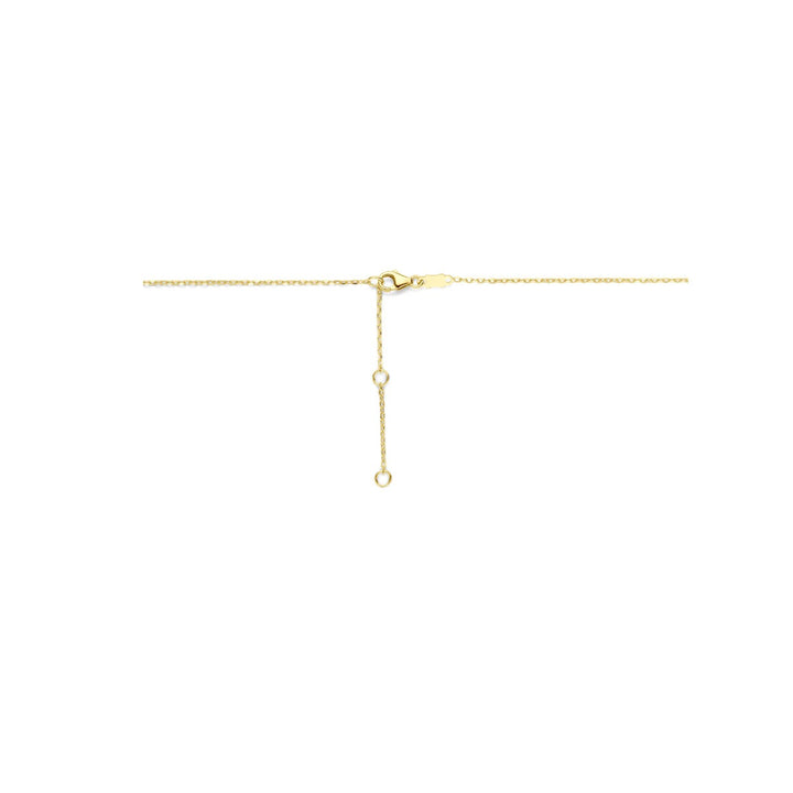 14k geelgouden collier met onyx – krachtig en elegant