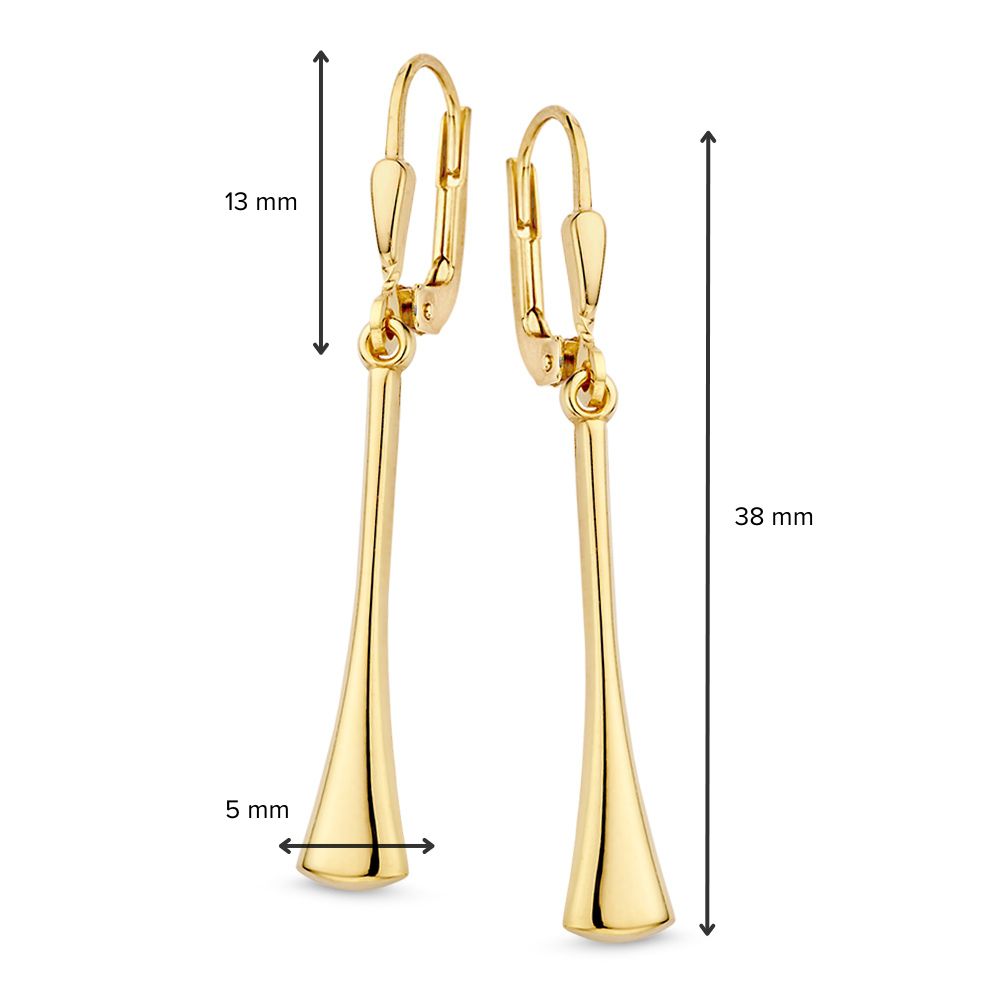Elegante Gelbgold-Ohrhaken mit verspielten Anhängern - 14 Karat Gold