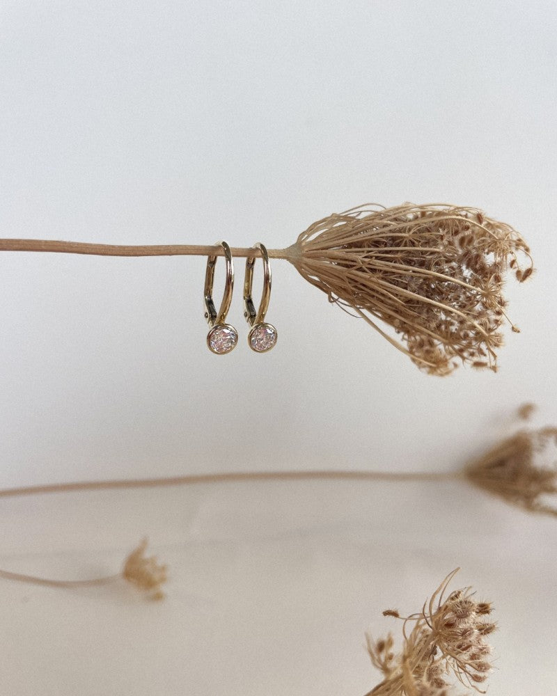 Gelbgoldene Ohrhaken mit Zirkonia im runden Fassring – 14 Karat
