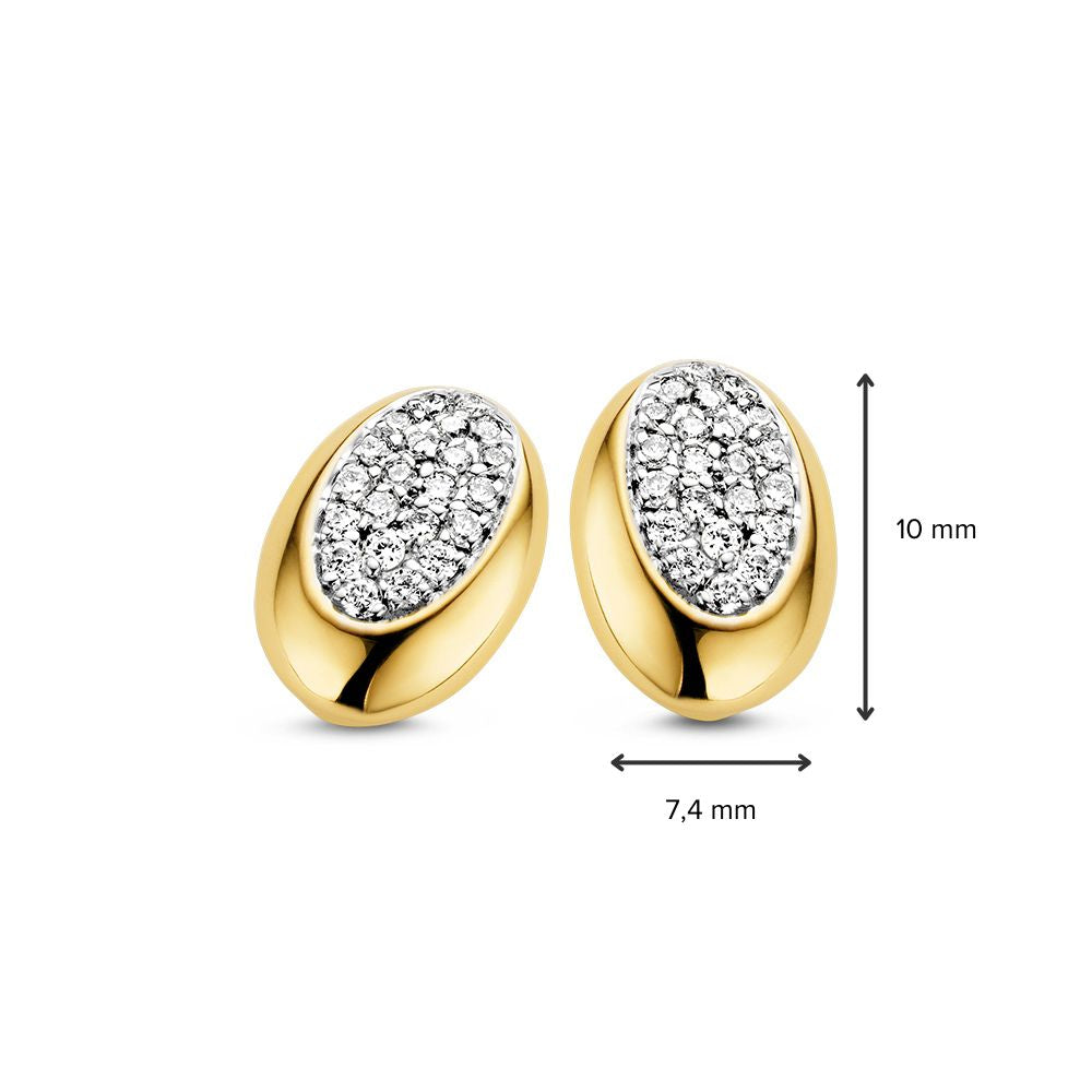 14 Karaat Bicolor Gouden Oorstekers met Briljant - 0,02 crt Diamant