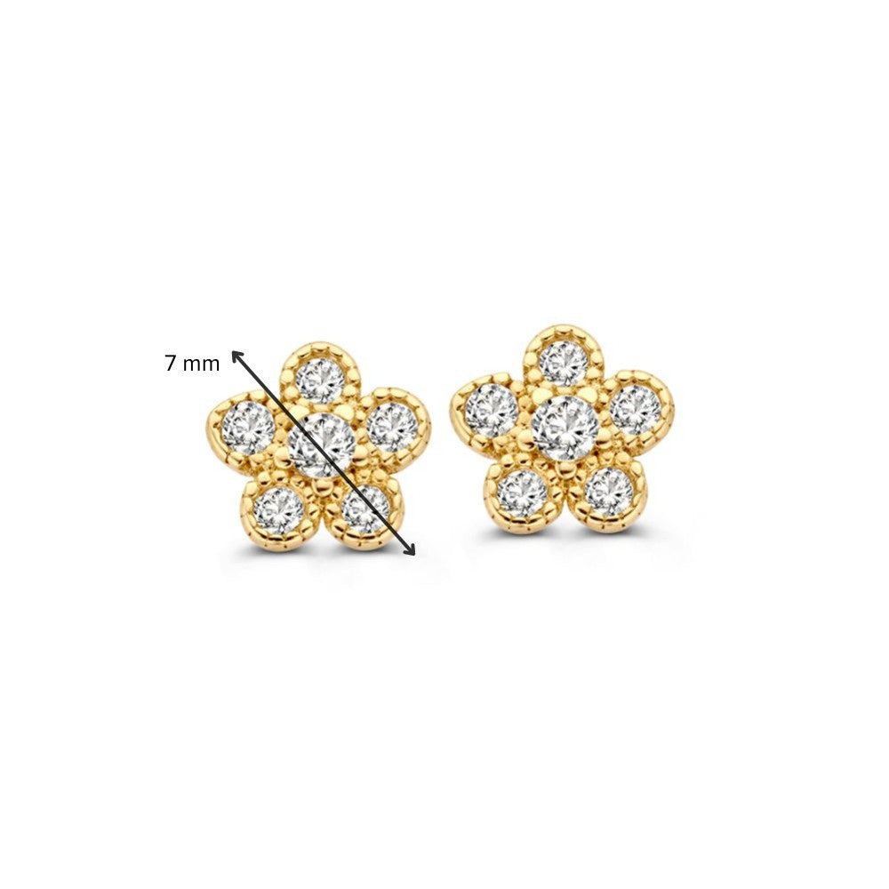 Gelbgold Ohrstecker mit Zirkonia | 14 Karat Gold | Van der Kooij