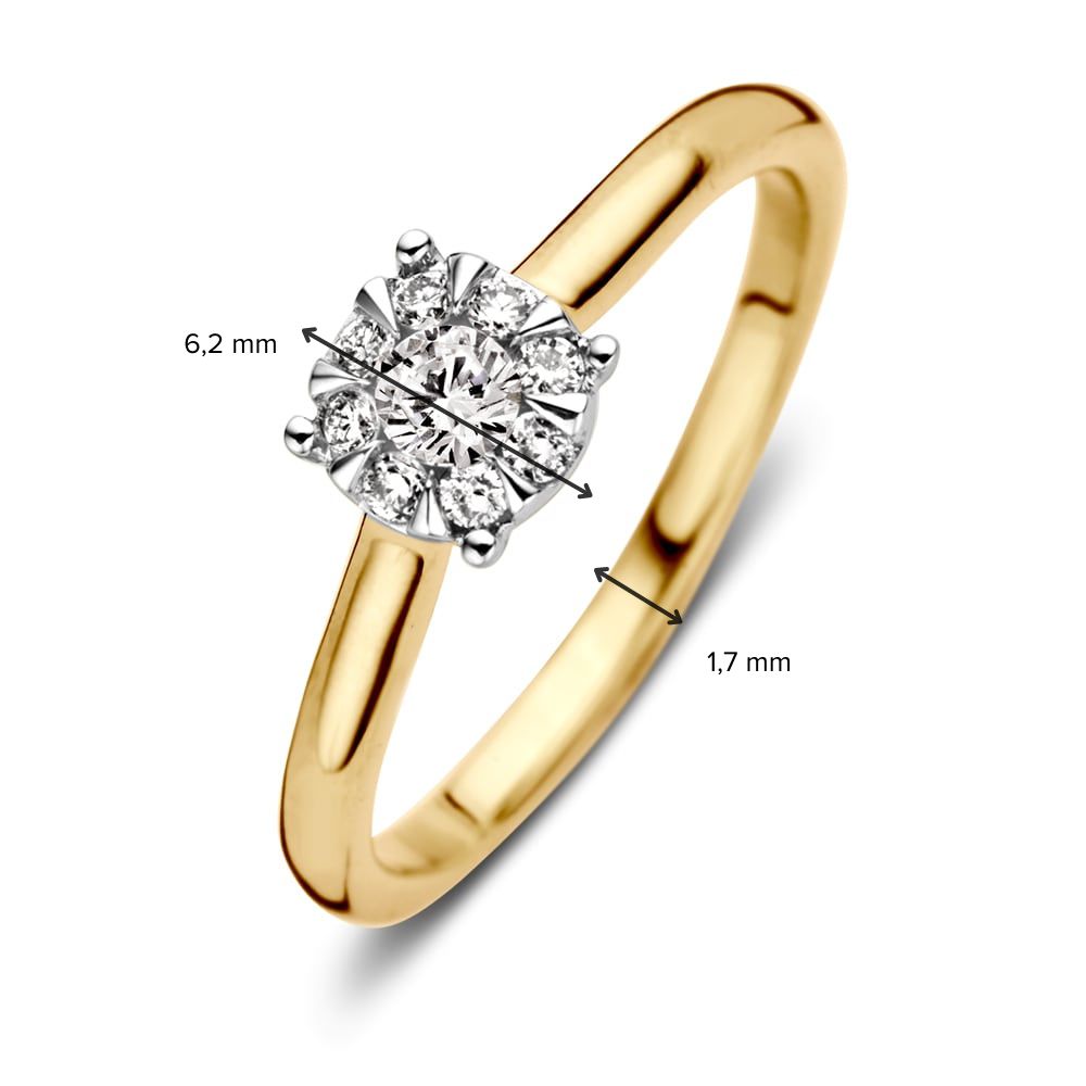 Bicolor Gelbgold Entourage Ring mit Diamant – 0.25 Karat