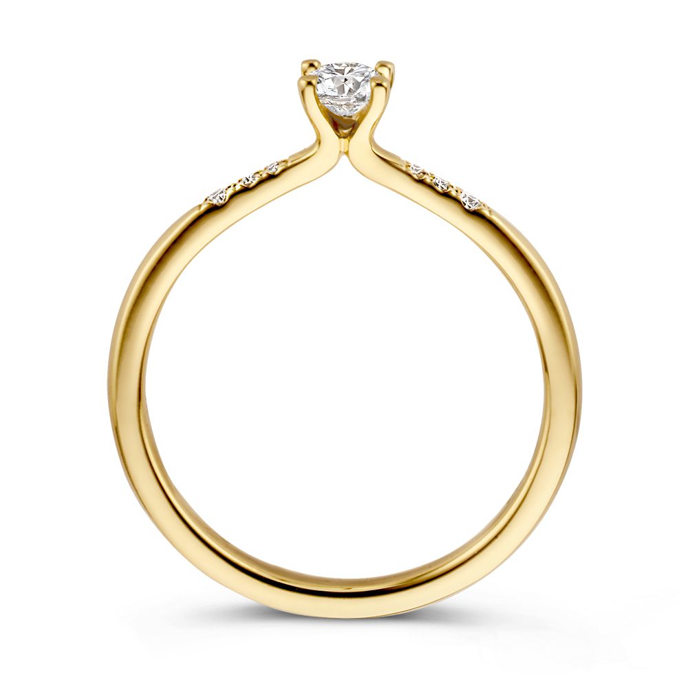Eleganter Solitärring aus Gelbgold mit Brillant-Diamant und Seitensteinen – 14 Karat Gold