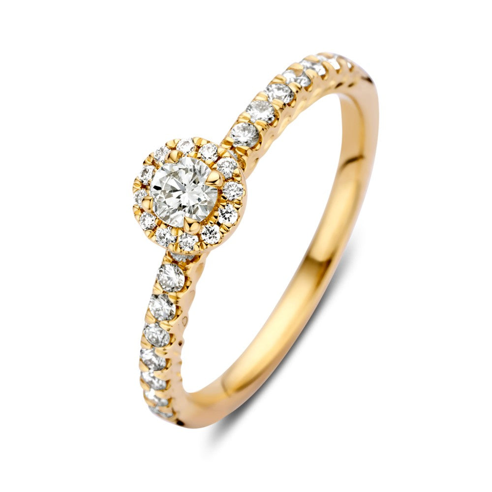 Ring aus 14 Karat Gelbgold mit Brillant in Entourage-Zetting und kleinen Diamanten am Band
