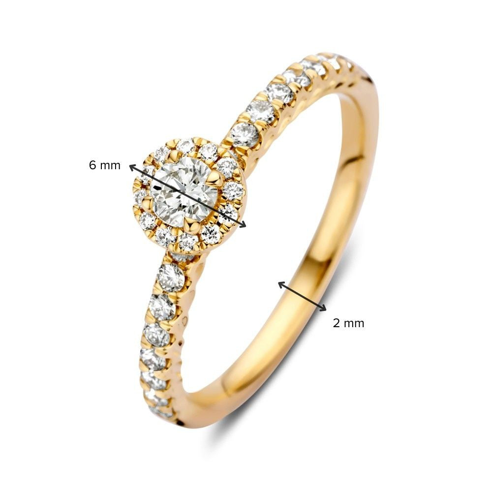 Wunderschöner Diamantring aus Gelbgold mit Brillant in Entourage-Fassung – 14 Karat0,50 ct.