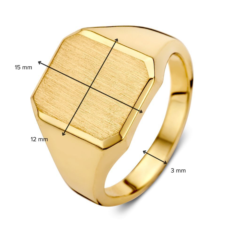 14 Karat Gelbgold Siegelring für Herren – Luxuriöses und Zeitloses Design