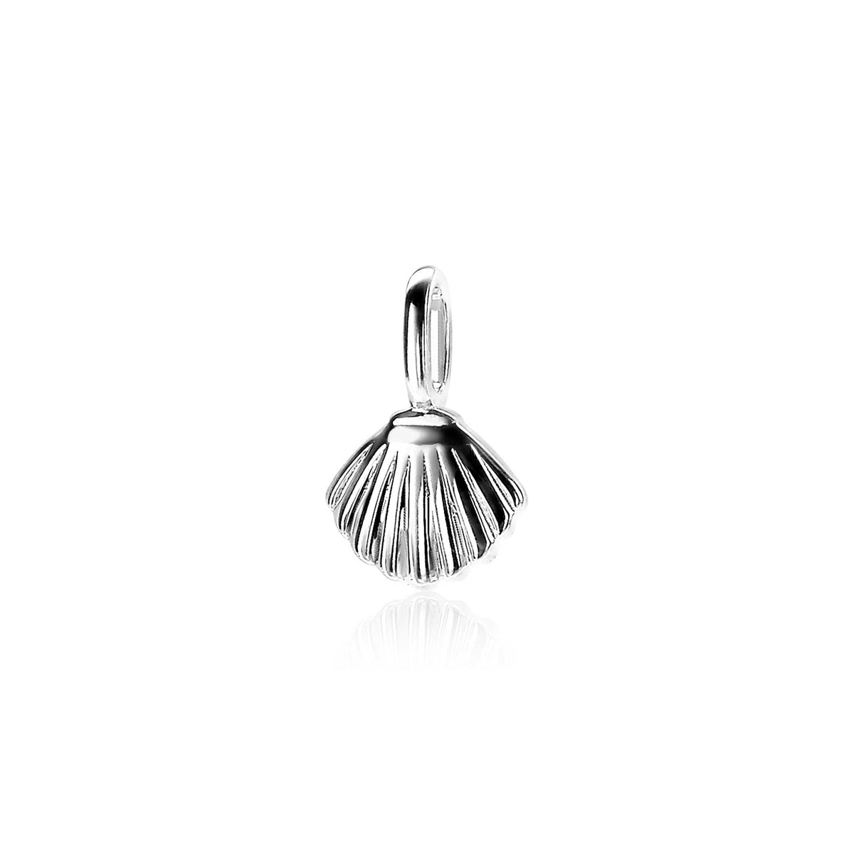 Hänger aus Silber in Muschelform mit feinen Rillen und glänzender Oberfläche